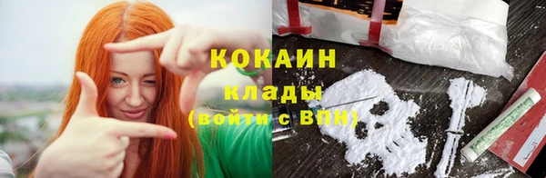дживик Алексин