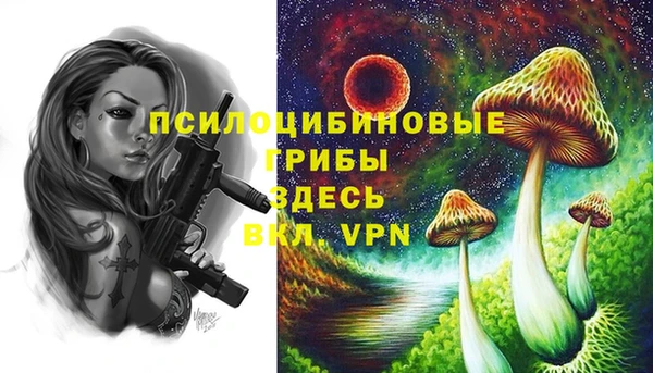 ешки Алзамай