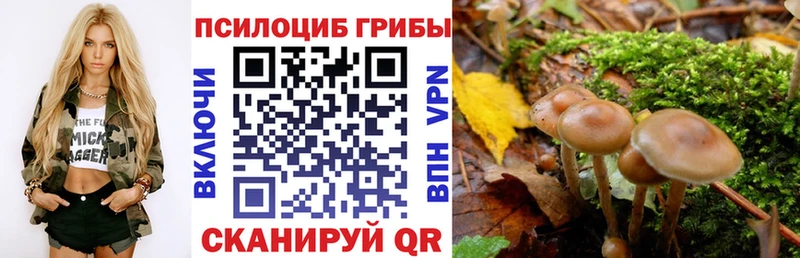 блэк спрут ССЫЛКА  Суджа  Галлюциногенные грибы ЛСД 