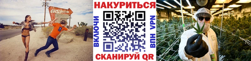 Конопля Bruce Banner  Суджа 